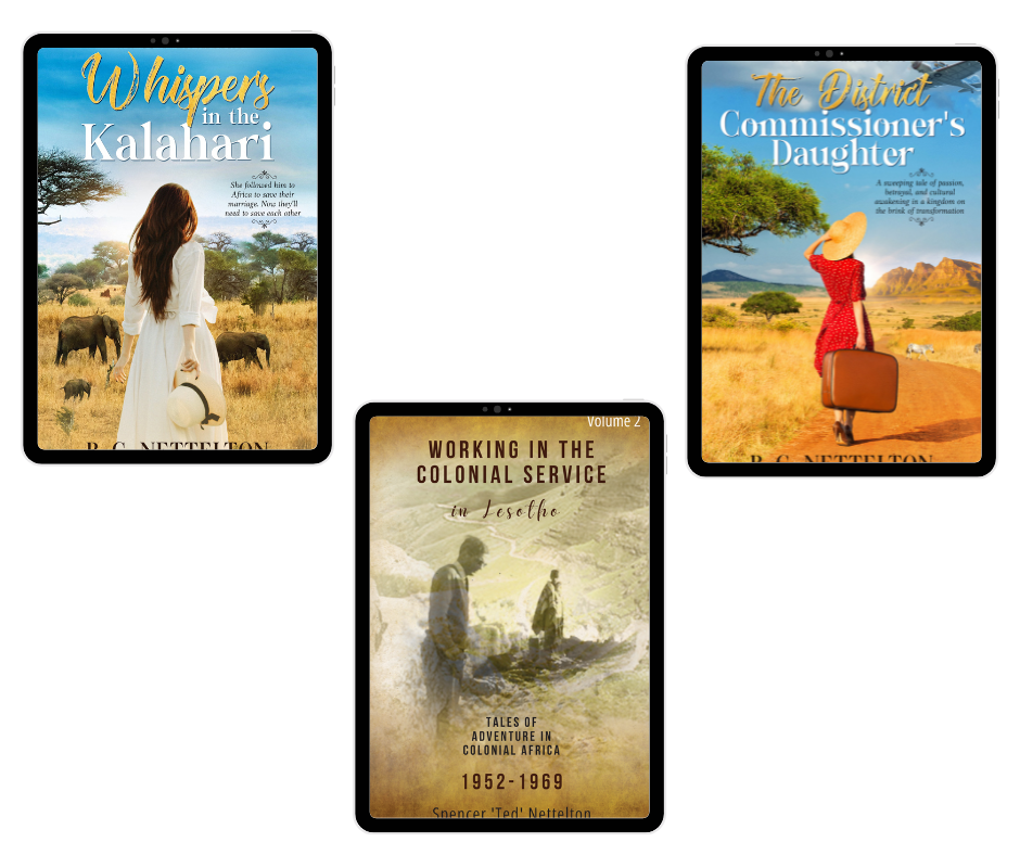 Africa Fact and Fiction Bundle (EBOOKS)