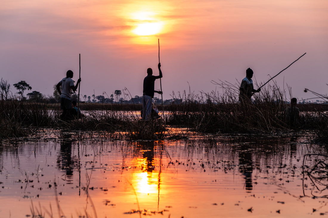 Three polers in mekoros in Botswana's lush Okavango Delta.
